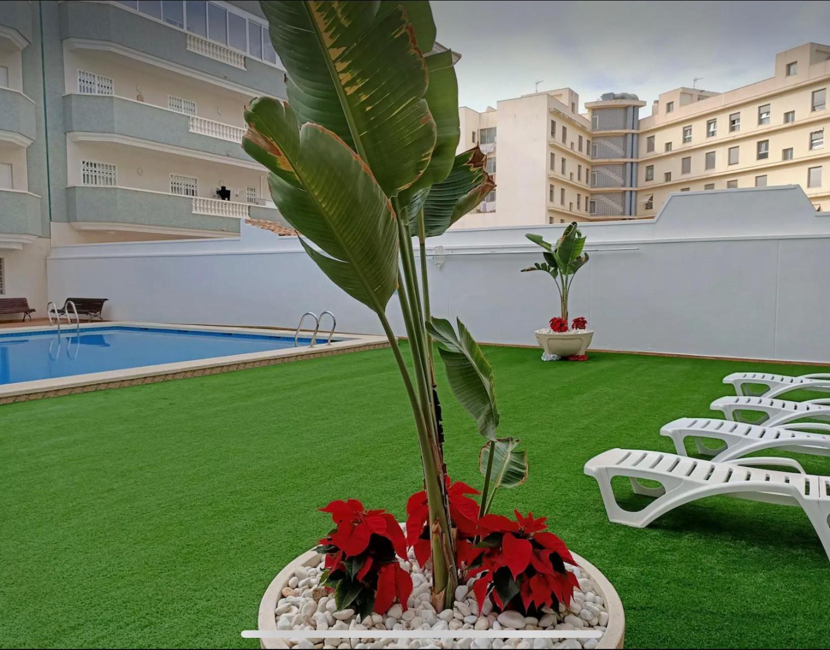 Exclusive Penthouse Pool & Beach - Lovely For Families - Los Pinos Residential El Campello Dış mekan fotoğraf